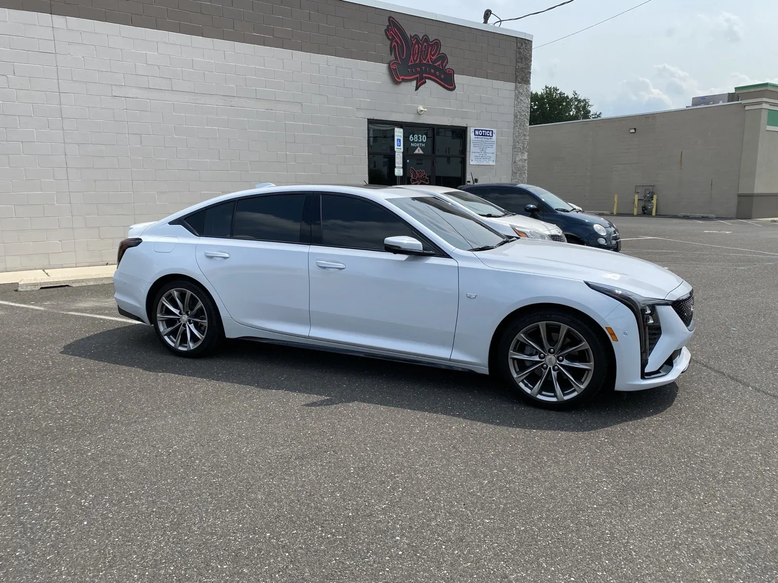 How Long Does Window Tint Take to Cure? Complete Guide — photo 3