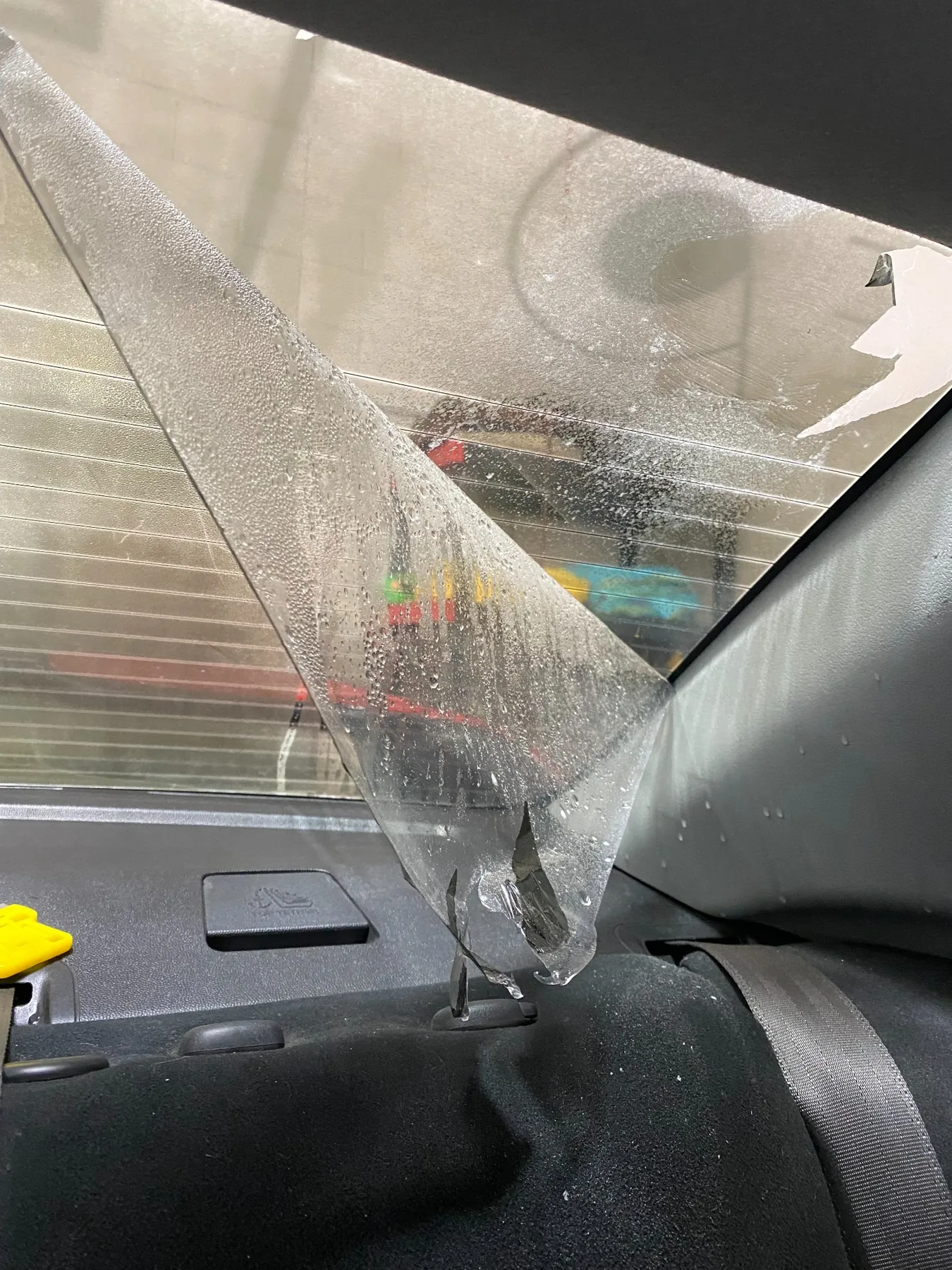 How Much Does Rear Window Tint Removal Cost? — photo 5