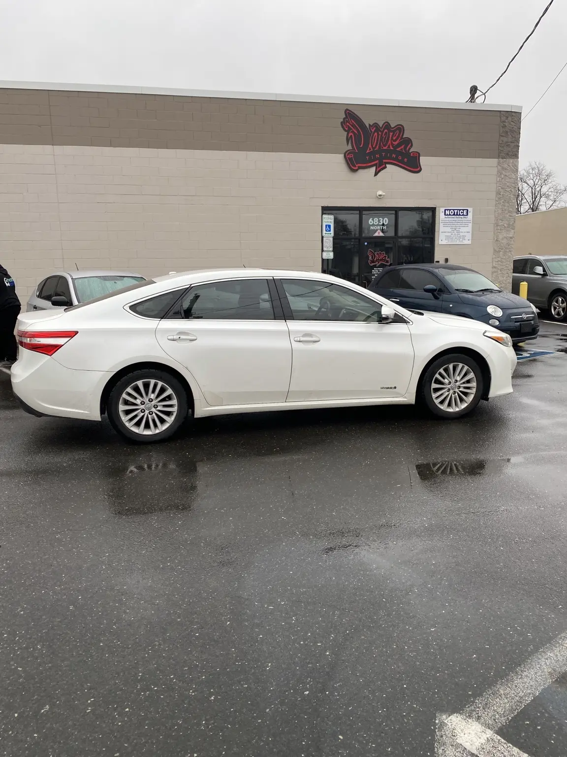 Does Window Tint Look Weird With Polarized Sunglasses? — photo 5